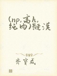 (np,高h,纯肉)糙汉封面