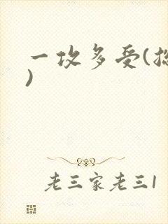 一攻多受(总攻)
