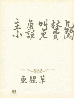 主角叫林凡叶惜小说免费阅读