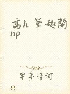 高h 笔趣阁 np