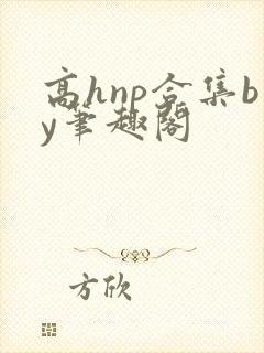 高hnp合集by笔趣阁