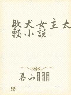 败犬女主太多了轻小说封面