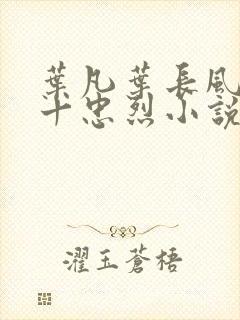 叶凡叶长风一门十忠烈小说书名