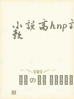 小说高hnp调教