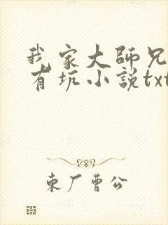 我家大师兄脑子有坑小说txt