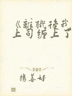 《离职后我被前上司缠上了封面