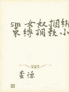 sm 女奴捆绑束缚调教小说