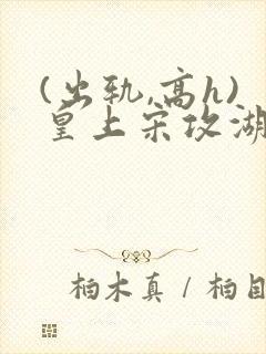 (出轨,高h)皇上宋攻湖封面