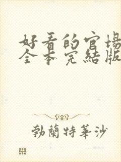 好看的官场小说全本完结版封面