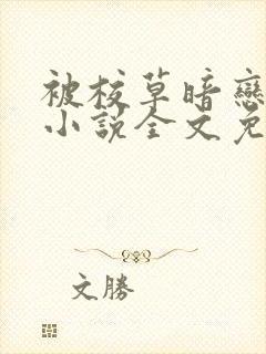 被校草暗恋之后小说全文免费阅读封面