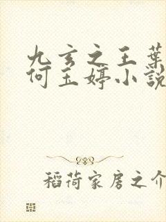 九玄之王叶浮生何玉婷小说免费阅读全文在线封面