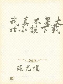 我真不是大佬txt小说下载