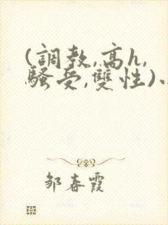 (调教,高h,骚受,双性)小说