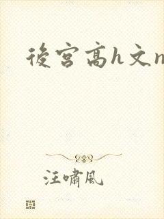 后宫高h文np