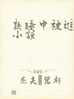 熟睡中被进了h小说