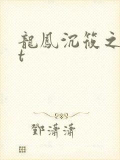 龙凤沉筱之txt封面