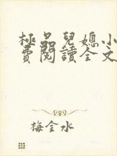 极品儿媳小说免费阅读全文无弹窗封面