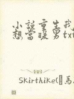 小说重生我真没想当暖男txt封面