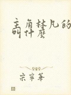 主角林凡的小说叫什么