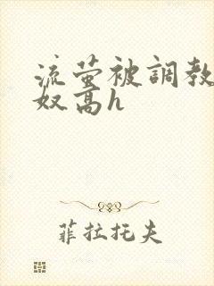 流萤被调教成肉奴高h