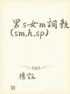 男s女m调教文(sm,h,sp)