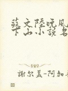 苏文陆晚风阎王下山小说名