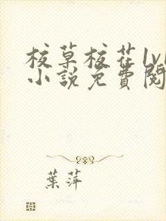 校草校花1v1小说免费阅读