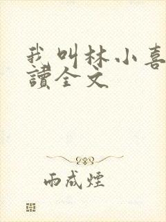 我叫林小喜全阅读全文