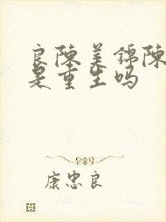 良陈美锦陈彦允是重生吗