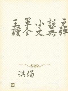 王军小说免费阅读全文无弹窗