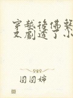 穿越后佛系贵妃又剧透了小说在线阅读