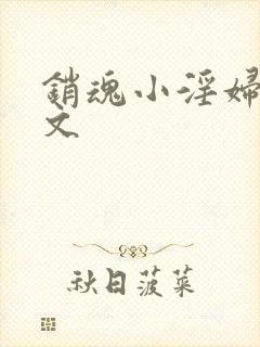 销魂小淫妇高h文