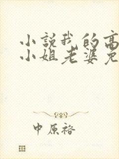 小说我的高冷大小姐老婆免费看