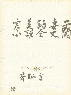 完美的妻子赵岚小说全文阅读封面