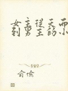 女主从天而降砸到男主的小说