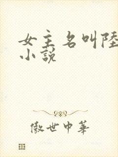 女主名叫陆晚的小说