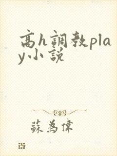 高h调教play小说