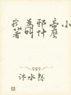 我为邪帝小说原著叫什么