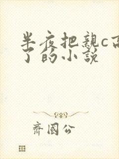 半夜把亲c高潮了的小说