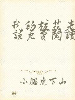 我的校花老婆小说免费阅读