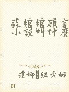 苏绾绾顾言衡的小说叫什么