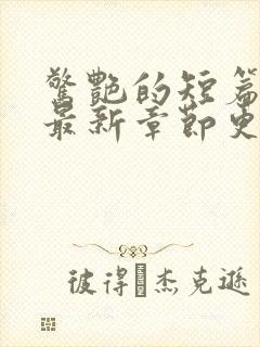 惊艳的短篇合集最新章节更新艳情小说