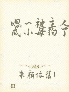 嗯～被主人调教成小母狗了啊啊啊太爽了