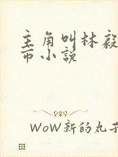 主角叫林毅的都市小说封面