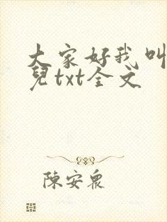 大家好我叫林喜儿txt全文封面