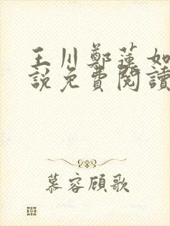 王川郑莲如的小说免费阅读全文