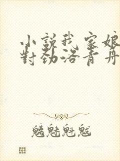 小说我家娘子不对劲洛青舟最新章节阅续封面