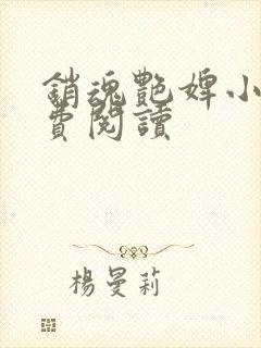 销魂艳婢小说免费阅读