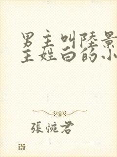 男主叫陆景琛女主姓白的小说封面