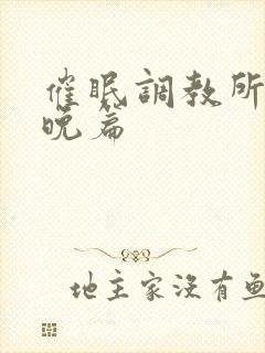 催眠调教所南晚晚篇